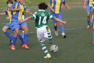 JiuyouAPP下载-中国足球国家队备战友谊赛调整战术策略，国足 友谊赛